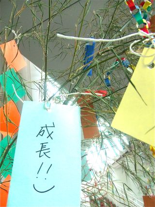 DSCF9810
